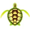 Robo Turtle SPLASH TOYS : Comparateur, Avis, Prix